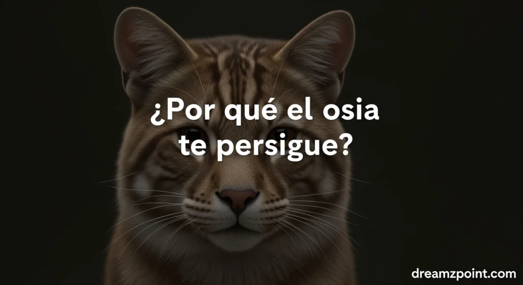 ¿Por qué el oso te persigue?