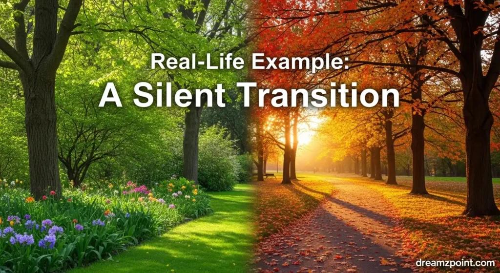 Real-Life Example: A Silent Transition