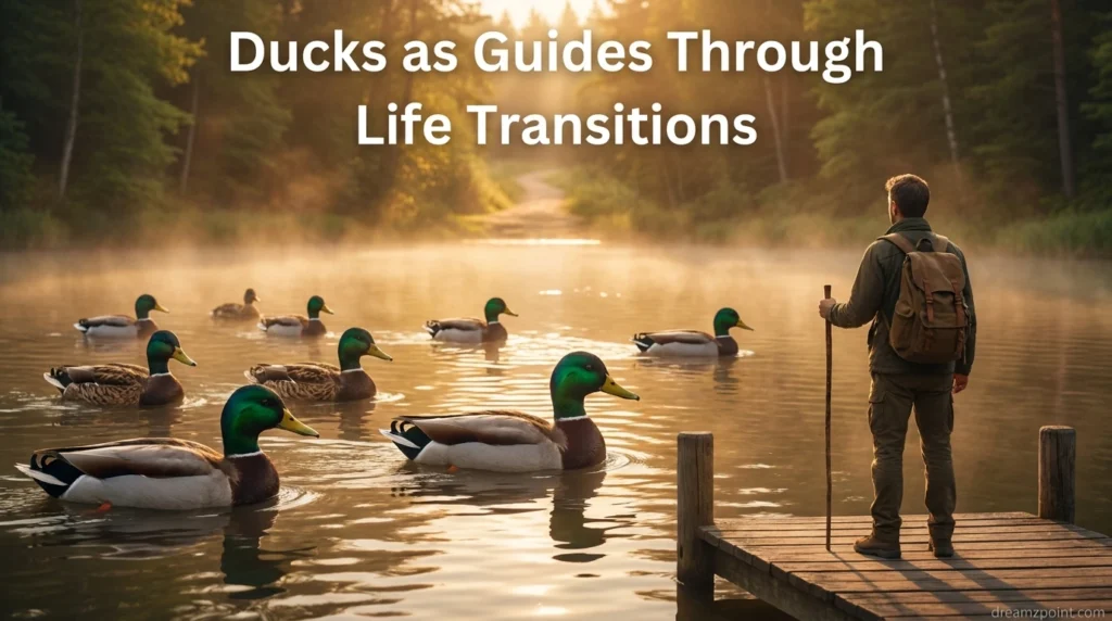 Ducks as Guides Through Life Transitions