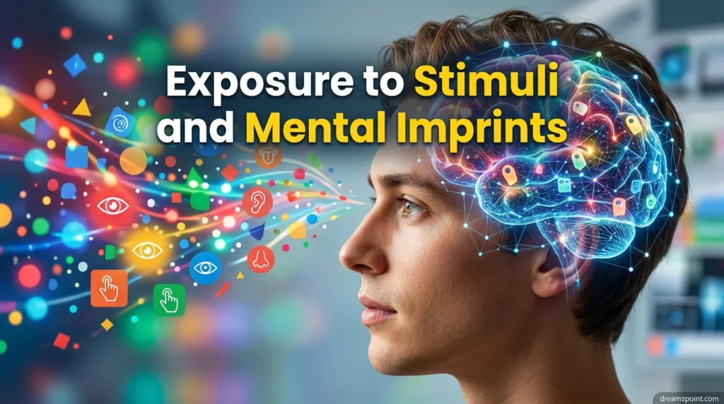 Exposure to Stimuli and Mental Imprints